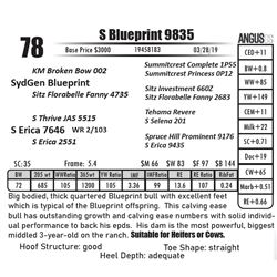 S Blueprint 9835