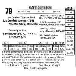 S Armour 9903