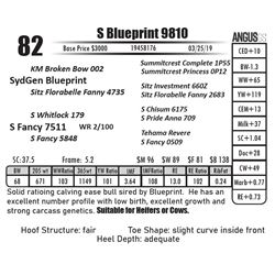 S Blueprint 9810