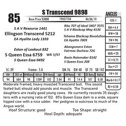 S Transcend 9898