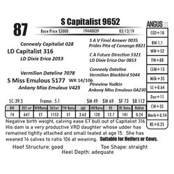 S Capitalist 9652