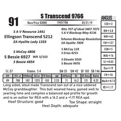 S Transcend 9766