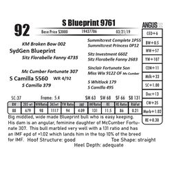 S Blueprint 9761