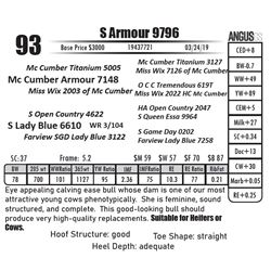 S Armour 9796