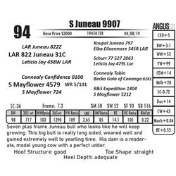S Juneau 9907