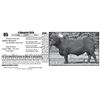 Image 1 : S Blueprint 9516