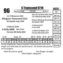 S Transcend 9718
