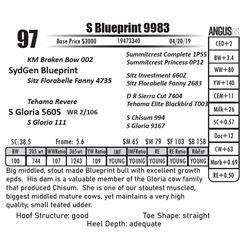 S Blueprint 9983