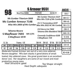 S Armour 9551