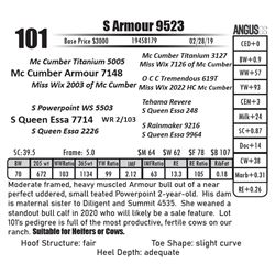 S Armour 9523