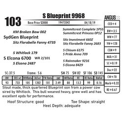 S Blueprint 9968