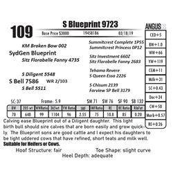 S Blueprint 9723
