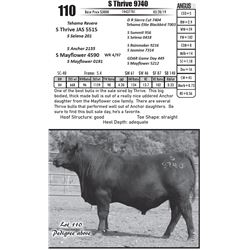 S Thrive 9740