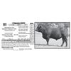 Image 1 : S Signature 95013