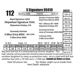 S Signature 95019