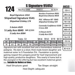 S Signature 95052
