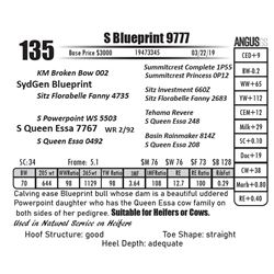 S Queen Essa 9777