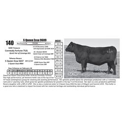 S Queen Essa 9609