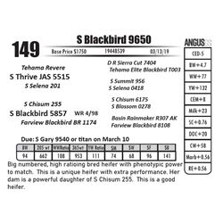 S Blackbird 9650