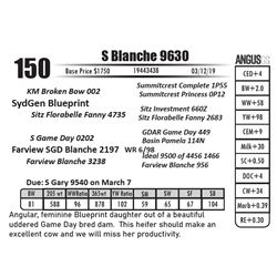 S Blanche 9630