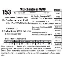 S Enchantress 9799