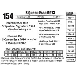 S Queen Essa 9913