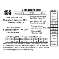 S Blackbird 9915