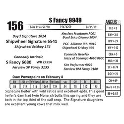 S Fancy 9949