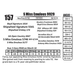 S Miss Emulous 9929