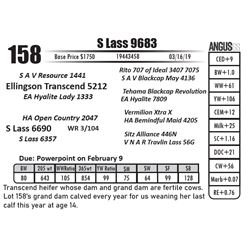 S Lass 9683