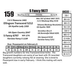 S Fancy 9677