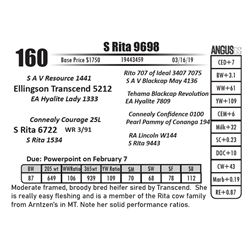 S Rita 9698