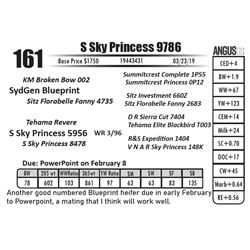 S Sky Princess 9786