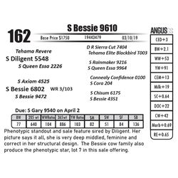 S Bessie 9610