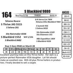 S Blackbird 9880