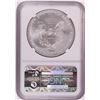 Image 2 : 2013 $1 American Silver Eagle Coin NGC MS70 First Releases