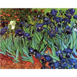 Van Gogh - Irises