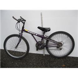 BIG BEAR 24 PURPLE KIDS MOUNTAIN BIKE AS IS