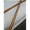 Image 2 : PR OF WALKING STICKS