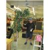 Image 1 : 1 TALL ARTIFICIAL PLANT
