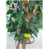 Image 2 : 1 TALL ARTIFICIAL PLANT