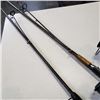 Image 3 : 2 FISHING POLES WITH SPINNING DAIWA REELS