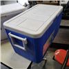 Image 3 : COLEMAN AND IGLOO COOLERS