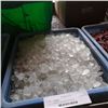 Image 1 : LOT OF WHITE DECORATIVE ROCK
