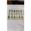 Image 1 : 12 ENCASED BUG KEYCHAINS