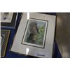 Image 2 : 4 SIGNED OWL PRINTS