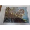 Image 2 : ROBERT BATEMAN OWL PRINT