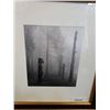 Image 2 : FRAMED TOTEMS PRINT