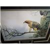Image 2 : RED TAILED HAWK ON MOUNT NEMO BY ROBERT BATEMAN 25298