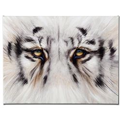  Eye See You  Limited Edition Giclee on Canvas by Martin Katon, Numbered and Hand Signed. This piece